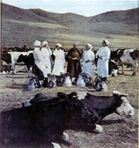 蒙古人民共和國戲劇