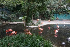 嘉道理農場暨植物園