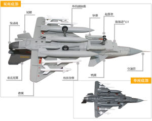 機身底部