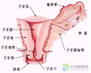 習慣性流產