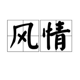 風情[詞語]