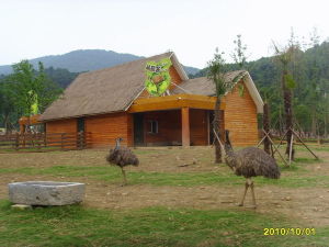 總投資4.5億元，新動物園堪稱華東之最