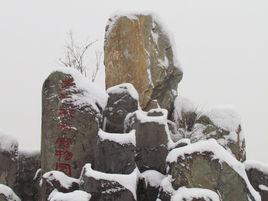 大河花卉寵物園