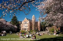 華盛頓大學文學院