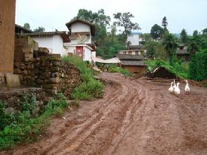 草菁村民委員會松樹林上村未硬化的道路