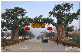 上王村[山西省忻州市原平市崞陽鎮下轄村]