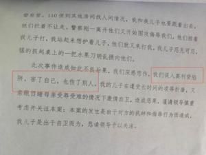 蘇銀霞為於歡寫的陳情書