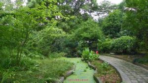 綠蘿植物園