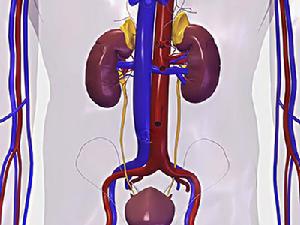 繼發性腎小球疾病