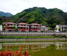 青山新農村