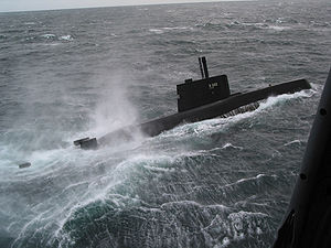 參予演習的烏特斯坦號（S-302）