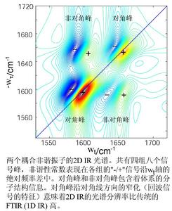 二維紅外光譜