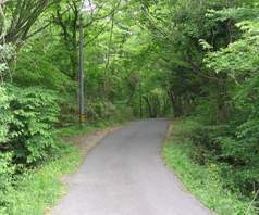 東山城市森林公園