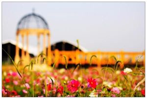 福勞爾花卉樂園