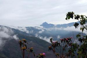 江西聖井山風景區