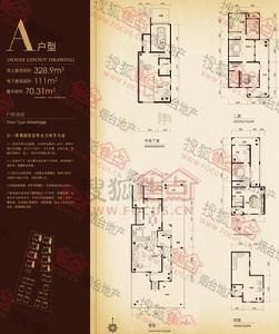 原石灘A戶型圖