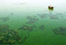 河流污染治理