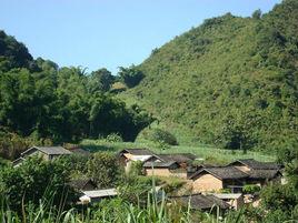 大埡口村[雲南省永德縣小勐統鎮大埡口村]