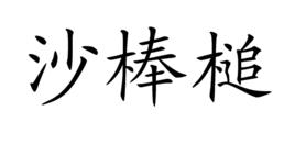 沙棒槌