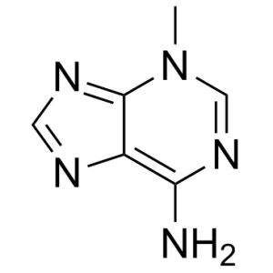 3-Methyladenine