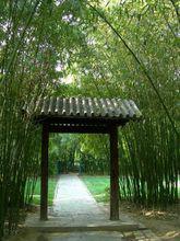 北京中山公園[北京市東城區中山公園]