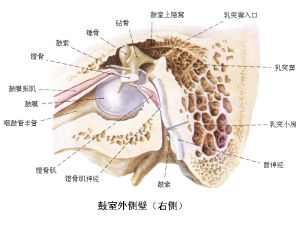 咽鼓管炎