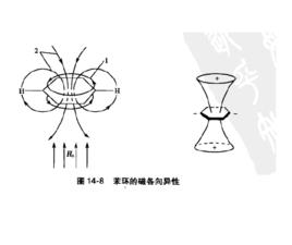 磁各向異性基團