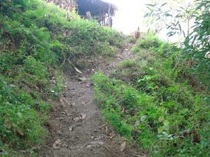 達卜落村村內山路