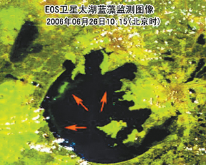 （圖）衛星圖片上觀察太湖，圖中紅色箭頭所指的綠色區域就是藍藻的爆發區