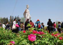 王城公園 牡丹園