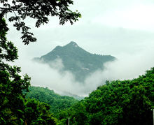 南陽內鄉雲露山風景區