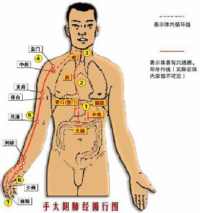 手太陰絡脈