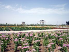 烏海市植物園