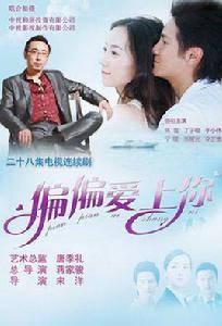 偏偏愛上你[2012年韓雪、丁子峻主演中國版情定大飯店]