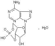 環磷腺苷注射液