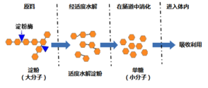 水解科技