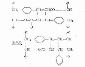 光四點環化聚合