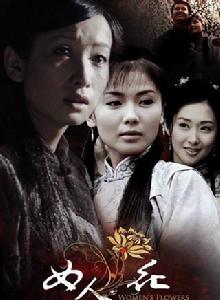 女人花[2008年姚曉峰執導馮紹峰主演電視劇]