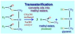 圖1生物柴油方程式