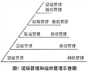 積極型衝突組織