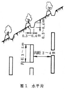 山坡水土保持工程