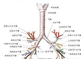 呼氣音延長