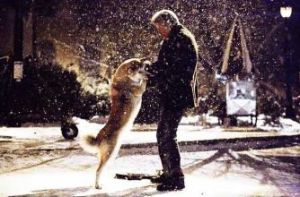 Hachi: A Dog's Tale