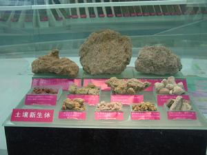 中國科學院南京土壤研究所標本館