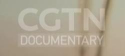 CGTN英語紀錄頻道歷年台標