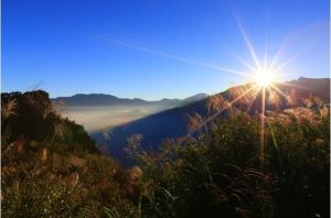 阿里山國家森林遊樂區