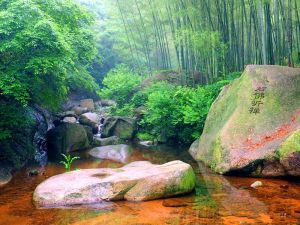 龍井溝[六安龍井溝]