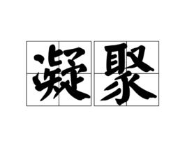 凝聚[詞語]