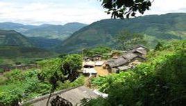 老彭寨村[雲南綠春縣大黑山鄉下轄村]