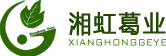 湘虹葛業logo